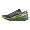 Picture of SALOMON - SENSE RIDE 5